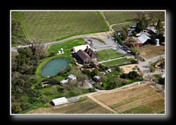 [Click to enlarge image] IMG_9135.jpg